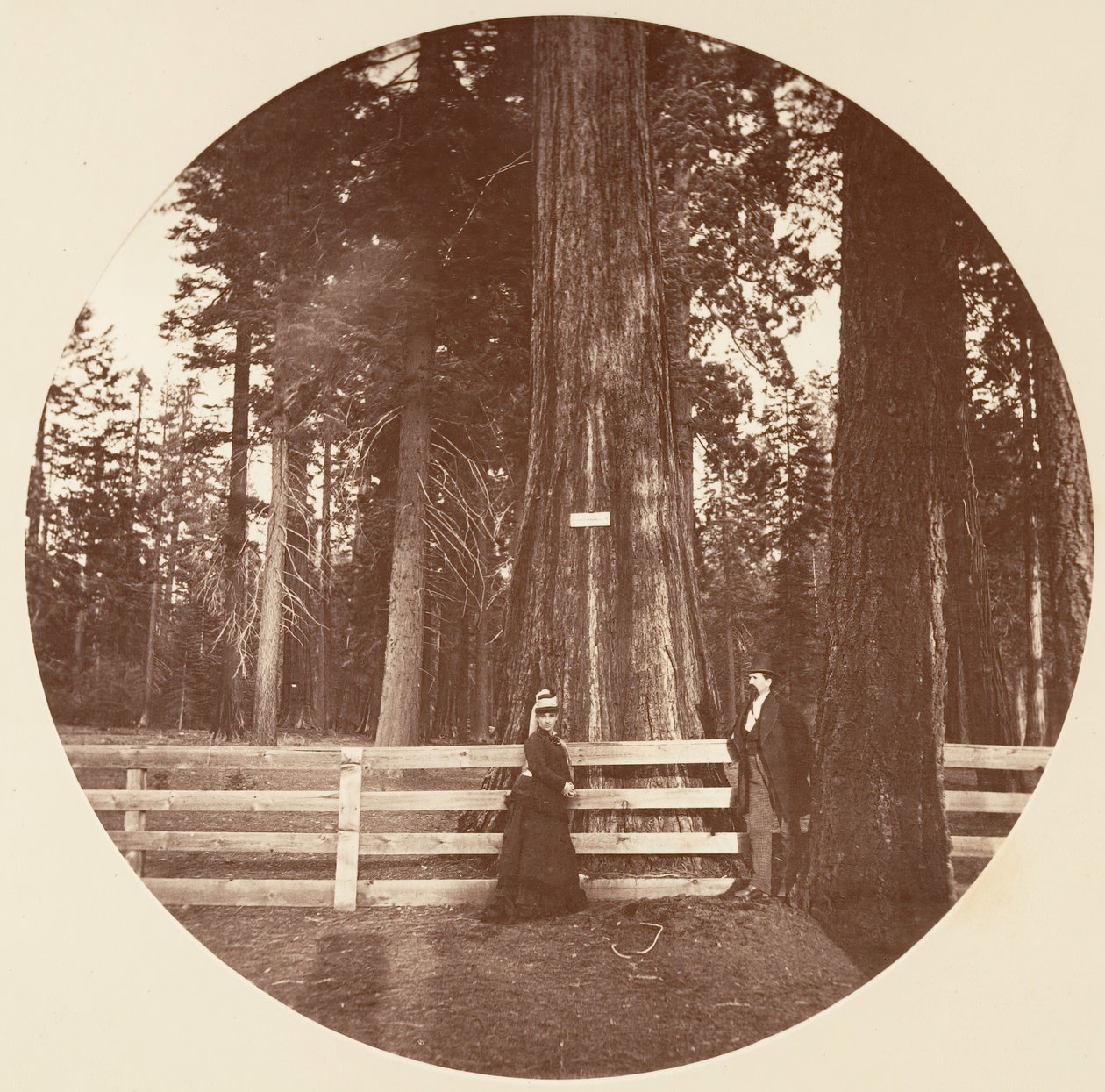 Auld Reckie. C. Grove, ca. 1878 von Carleton Emmons Watkins