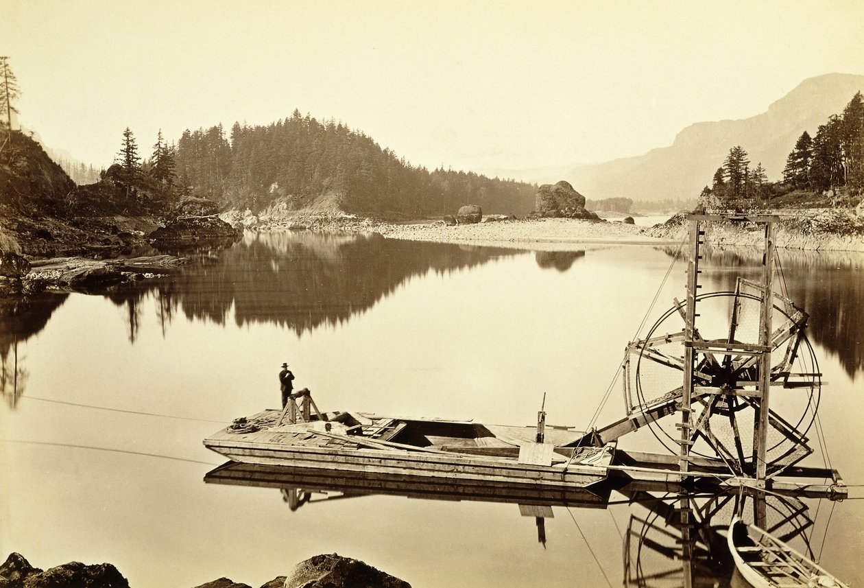 Schwimmendes Lachsrädchen, Kaskaden, 1867 von Carleton E. Watkins