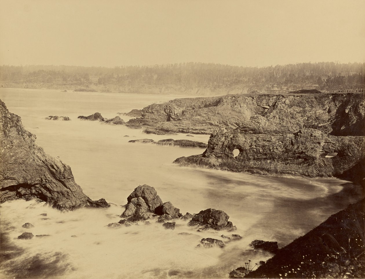 [Küstenansicht von Mendocino] von Carleton Watkins