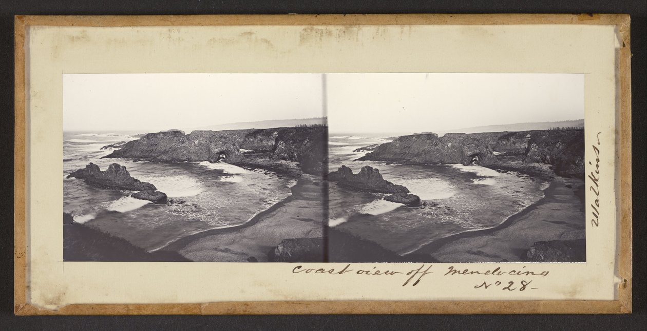 Küstenansicht vor Mendocino von Carleton Watkins