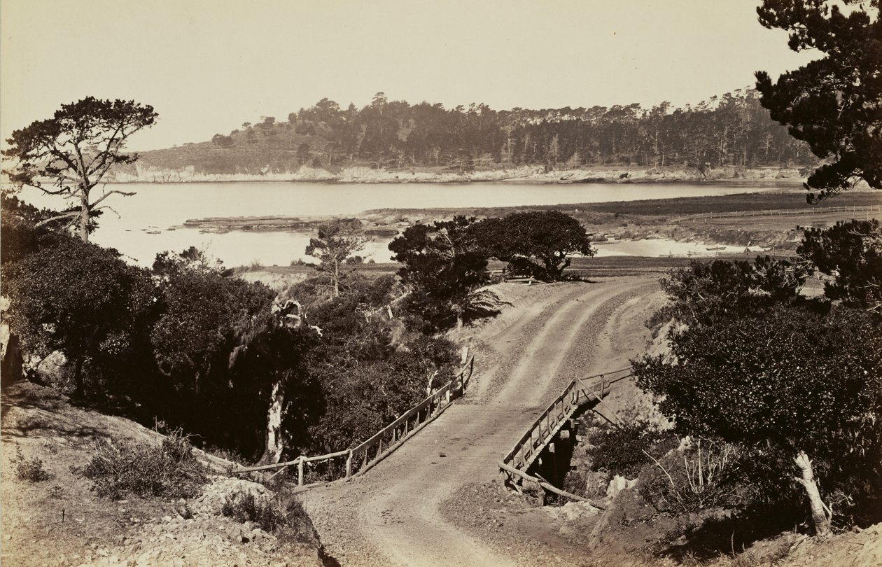 Küstenansicht in der Nähe von Monterey von Carleton Watkins