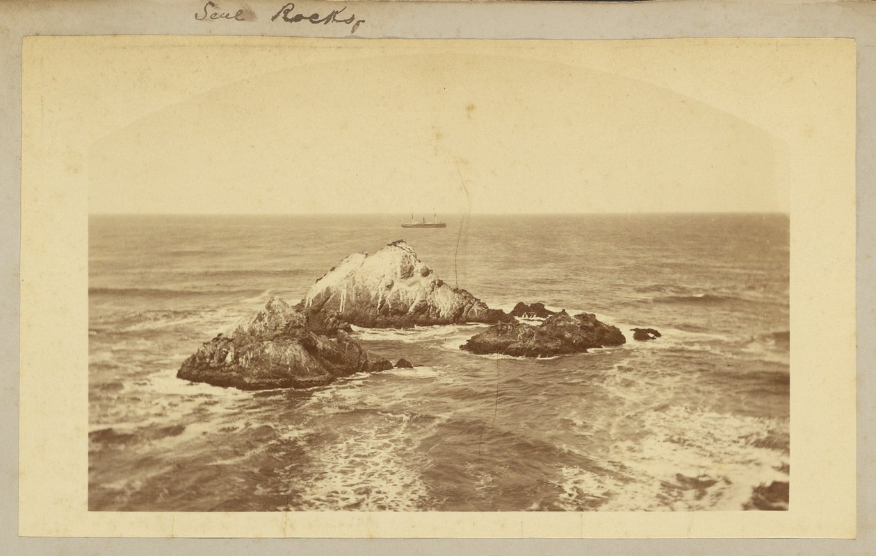 Seal Rocks von Carleton Watkins