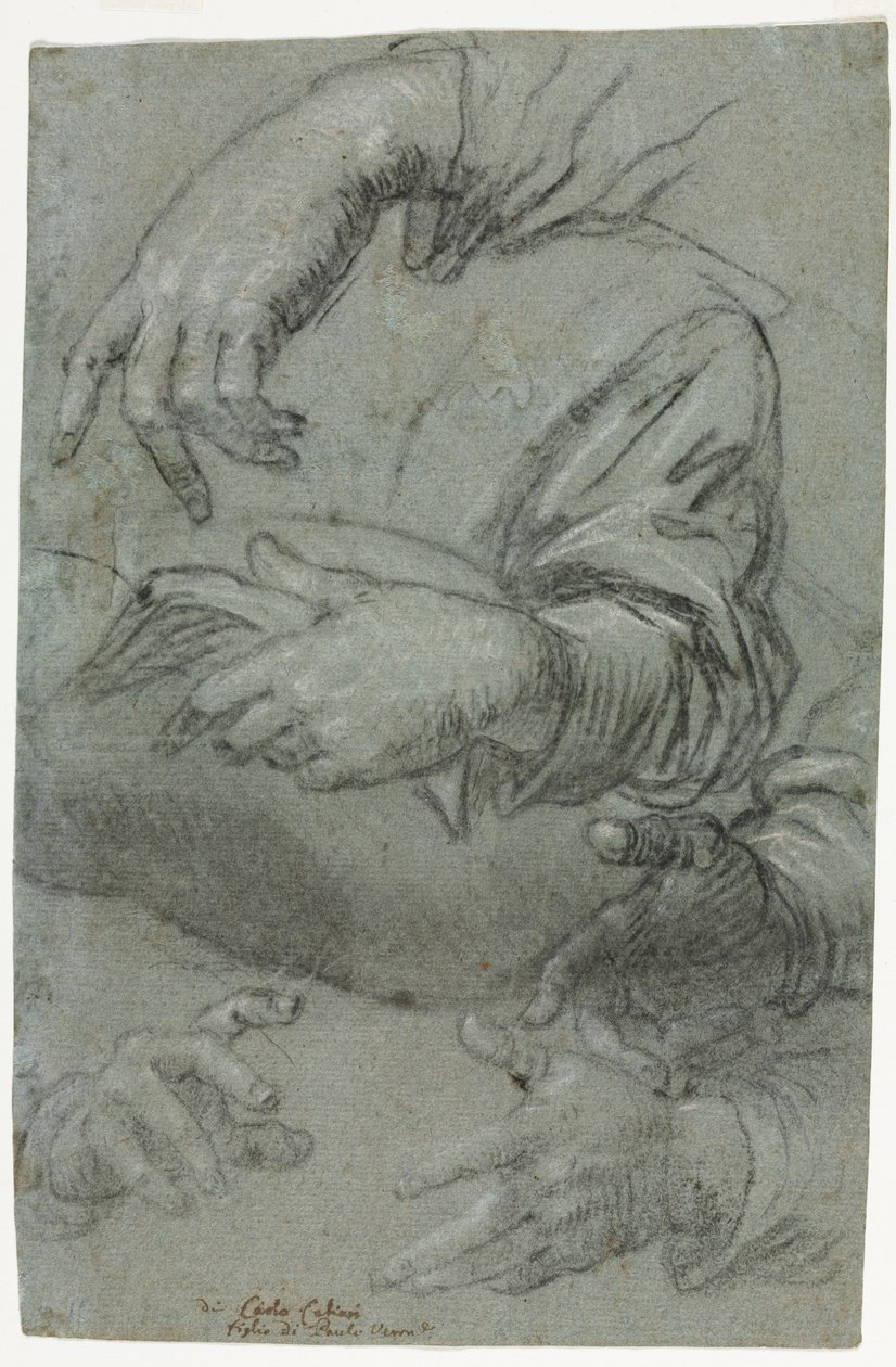 Studien von Händen (recto) von Carletto Caliari