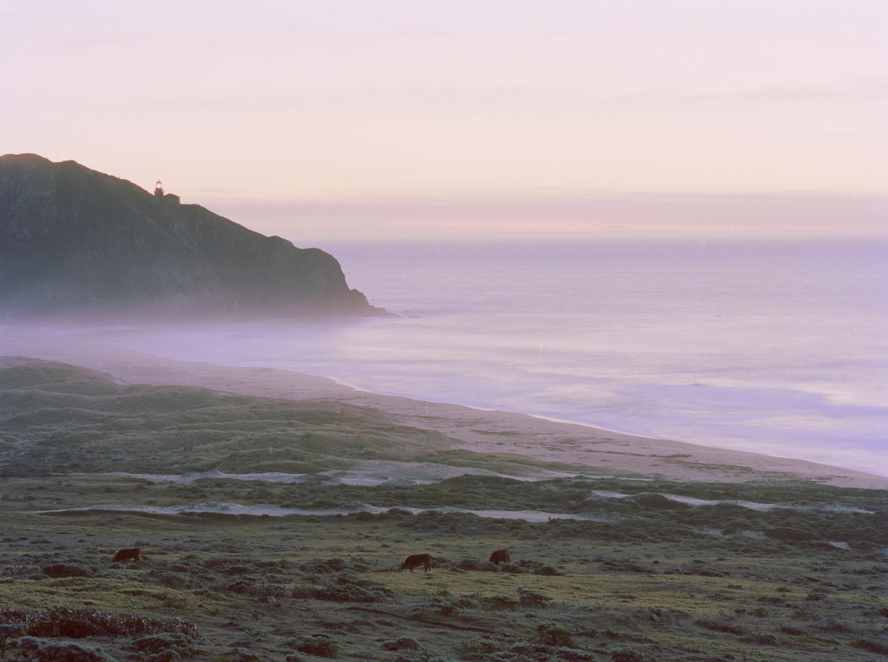 Big Sur, 2014 von Carli Choi