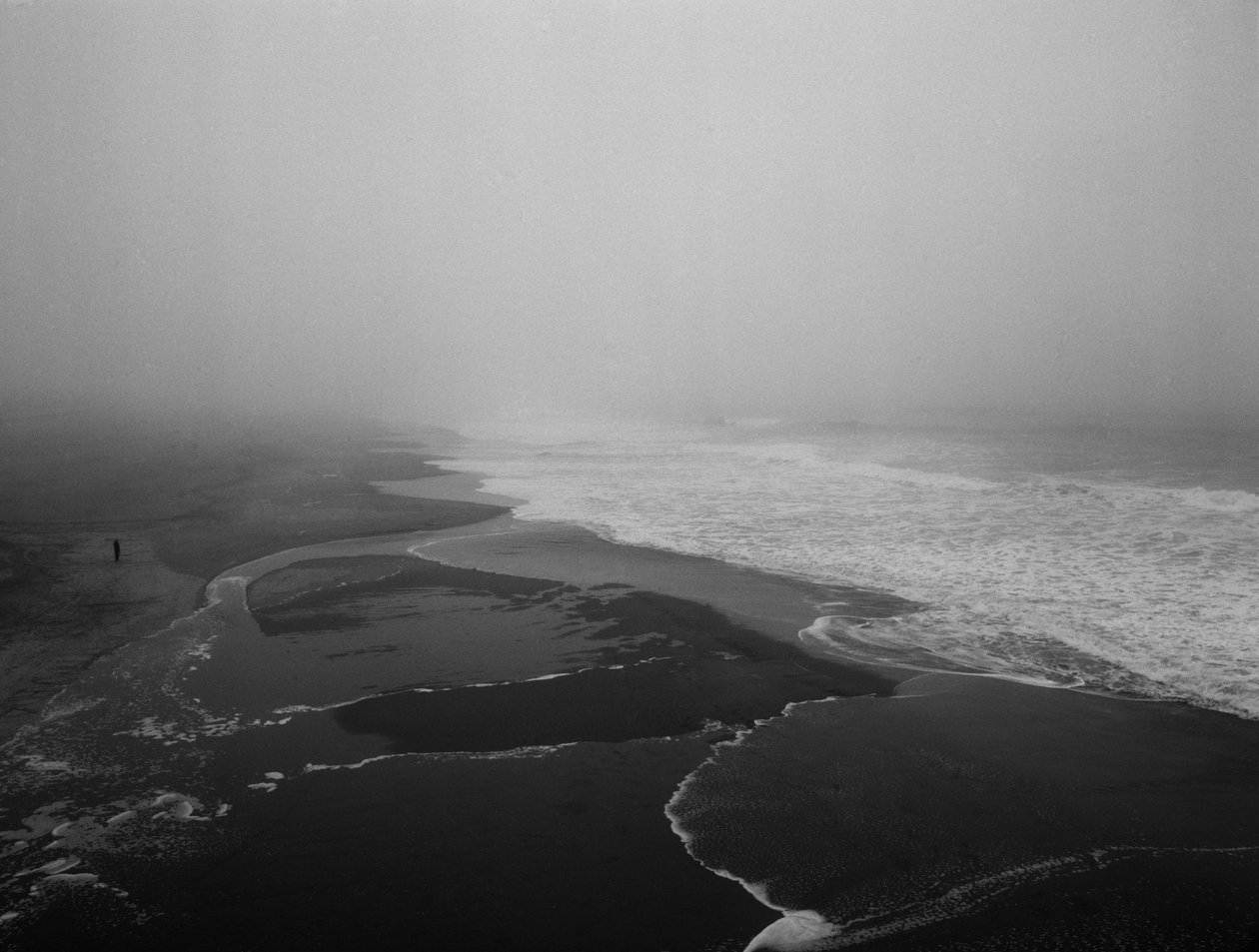 Für immer am Meer von Carli Choi