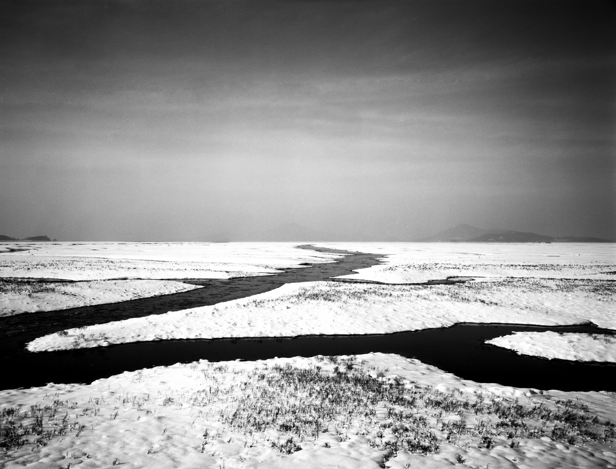 Für immer am Meer von Carli Choi