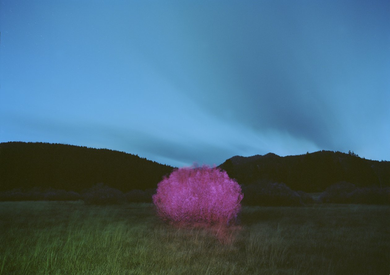 Malen im Dunkeln, 2015 von Carli Choi