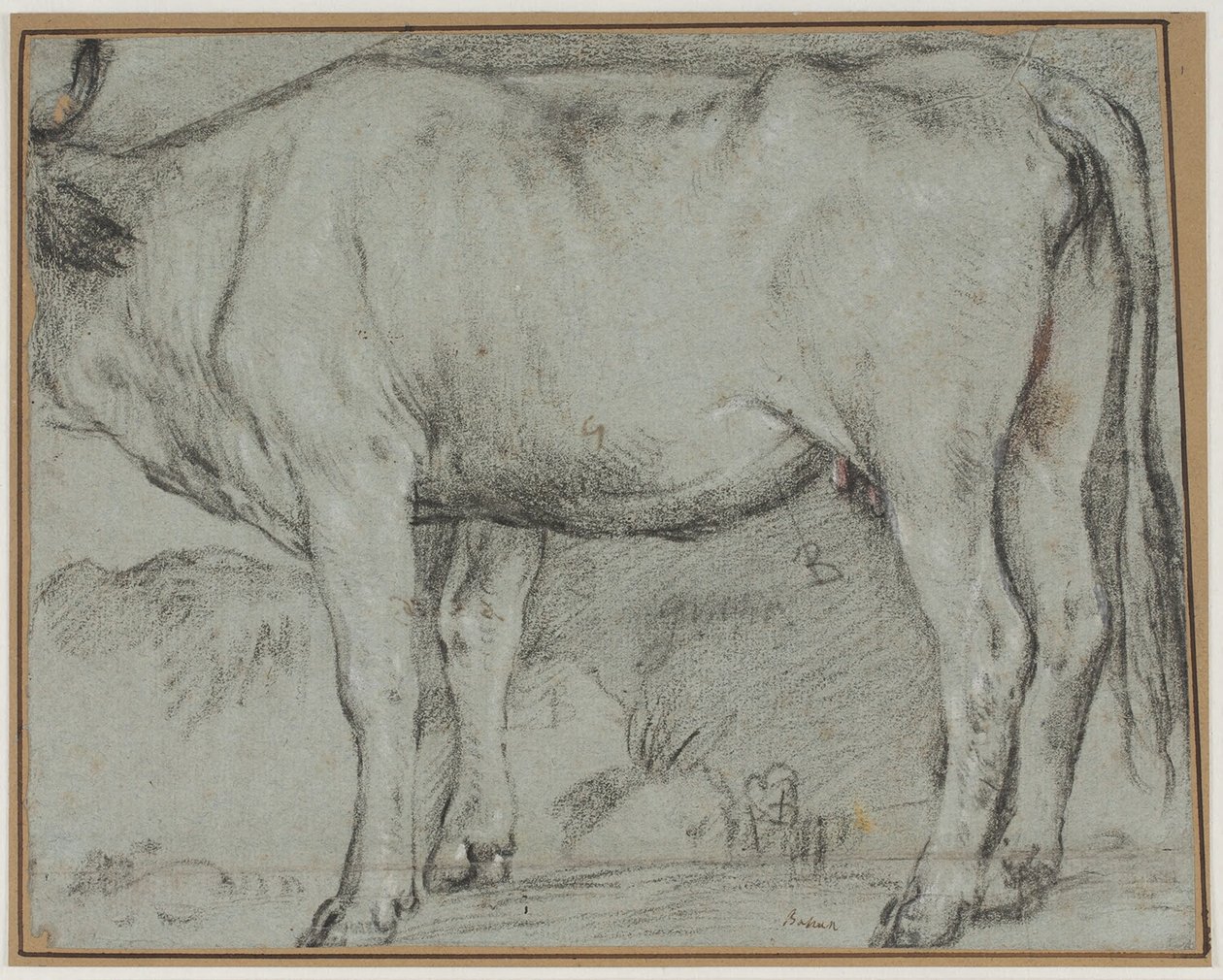 Stehende Kuh (Kopf fehlt) von Carlo Caliari