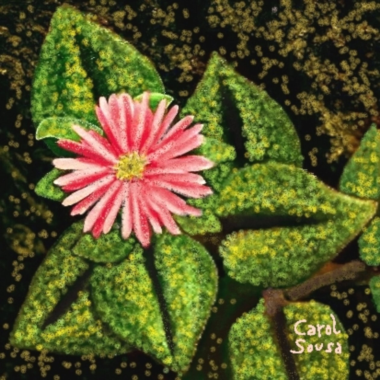 Wildblume von Carol Sousa Cuello