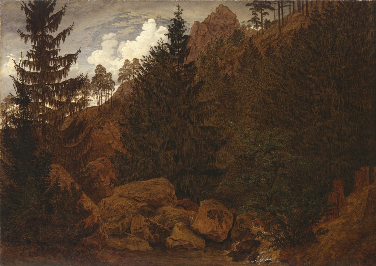 Felspartie im Harz von Caspar David Friedrich