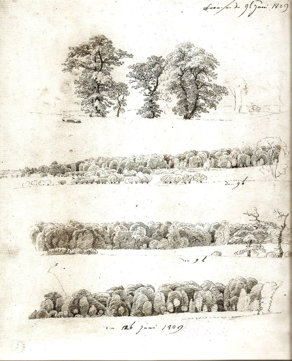 Baumstudien 1809 von Caspar David Friedrich