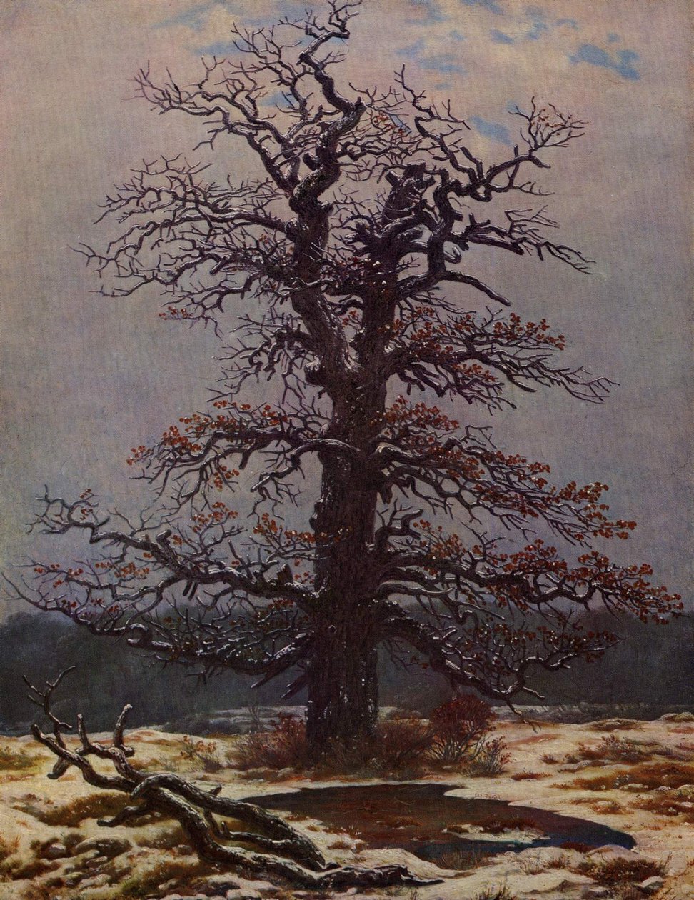 Eiche im Schnee von Caspar David Friedrich