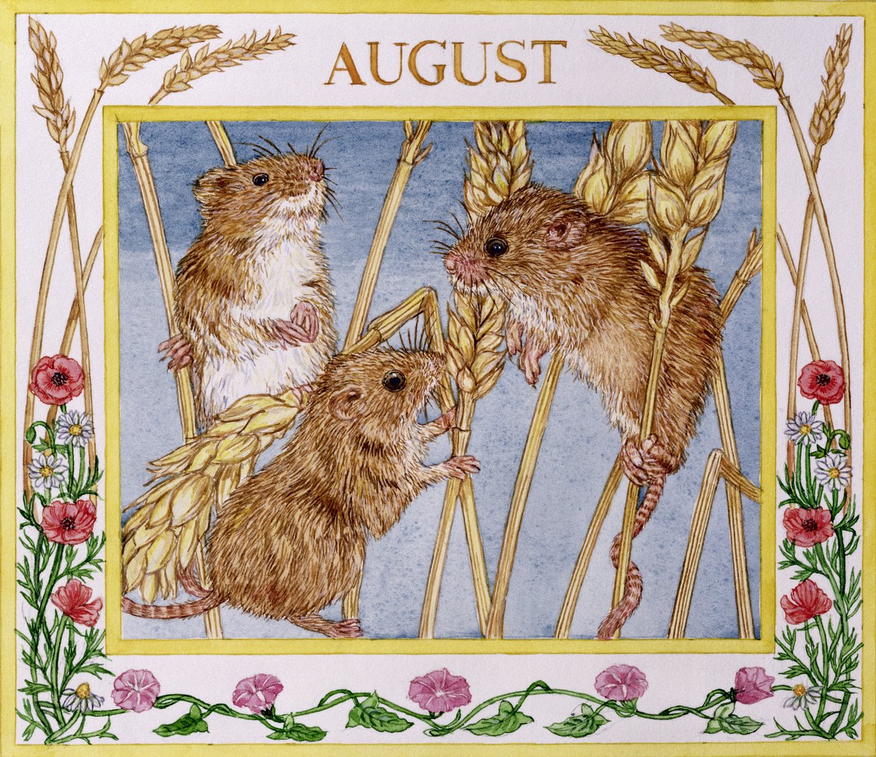 August von Catherine Bradbury