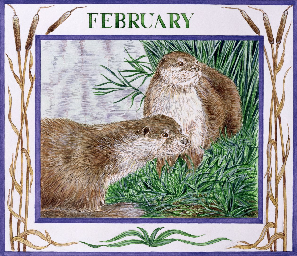 Februar von Catherine Bradbury