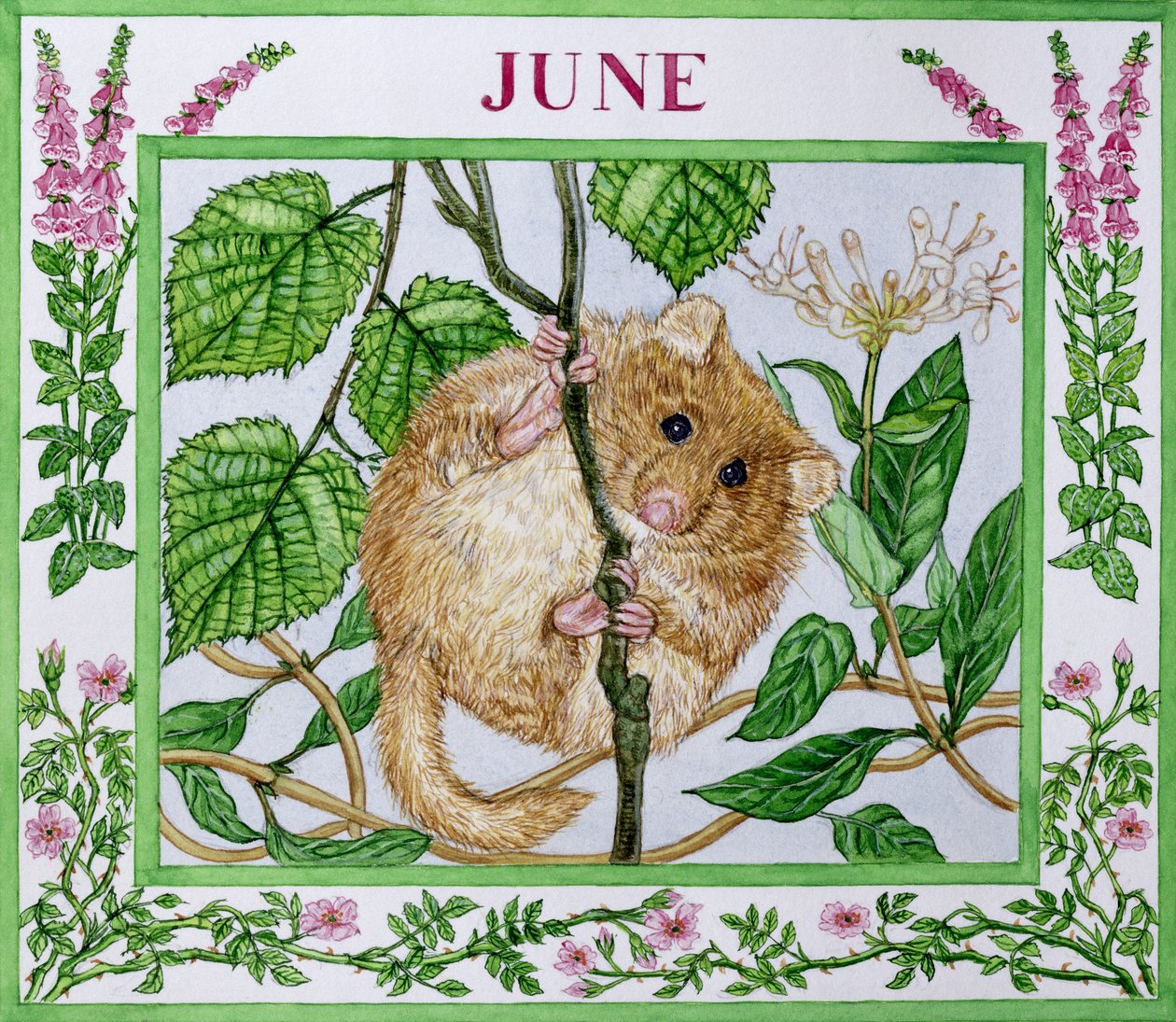 Juni von Catherine Bradbury
