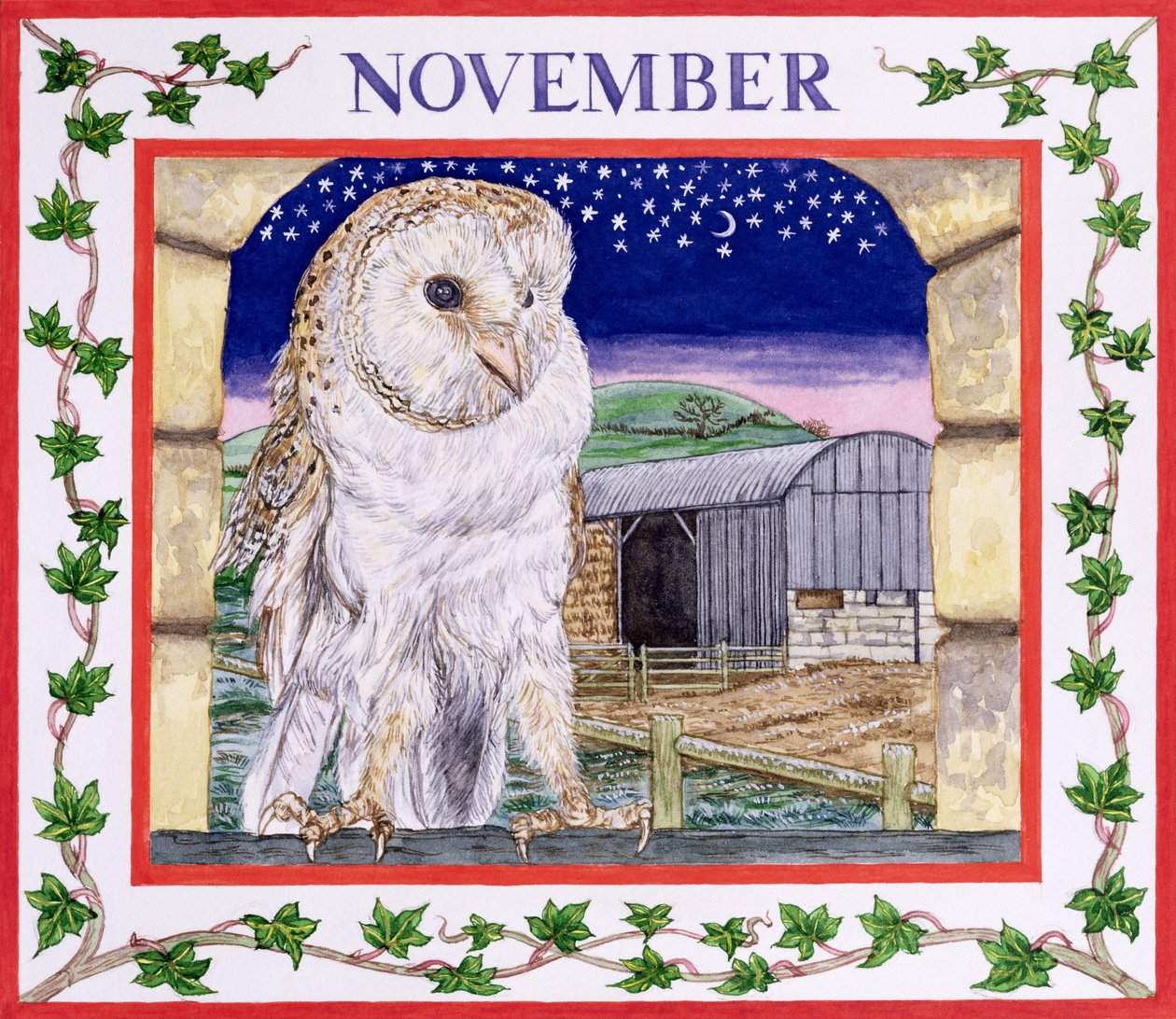 November von Catherine Bradbury