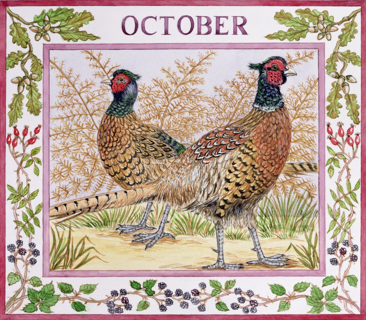 Oktober von Catherine Bradbury