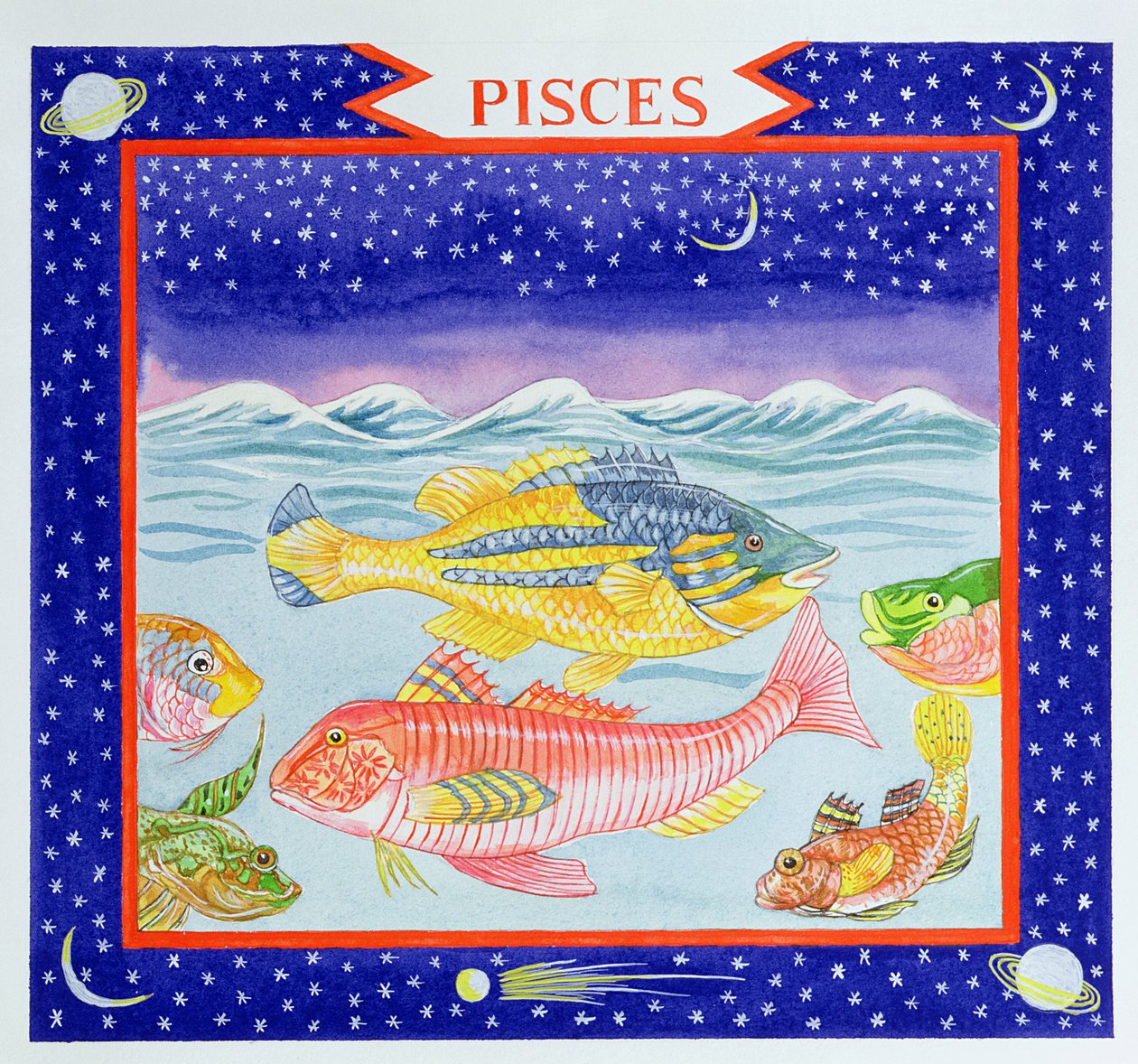 Fische von Catherine Bradbury