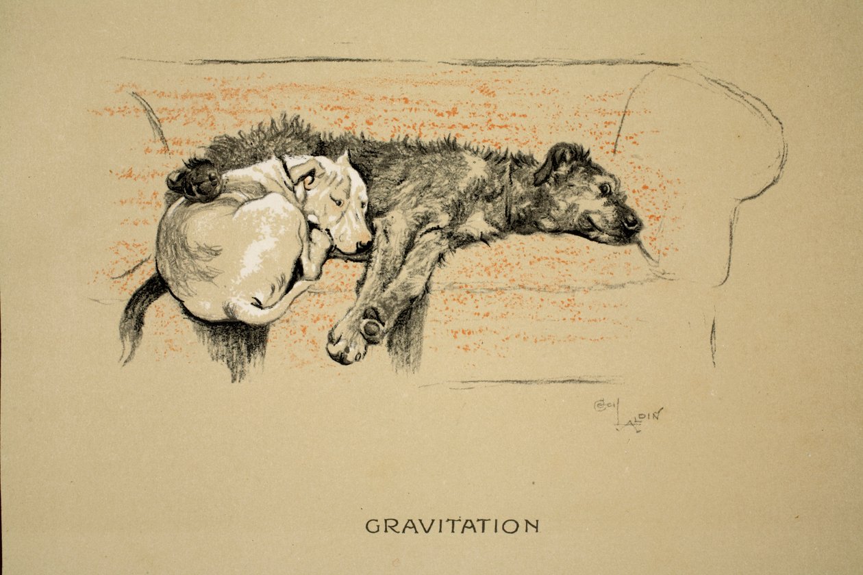 Gravitation, 1930, 1. Ausgabe von 