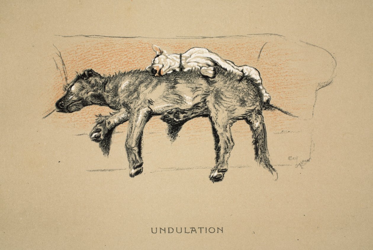 Undulation, 1930, 1. Ausgabe von 