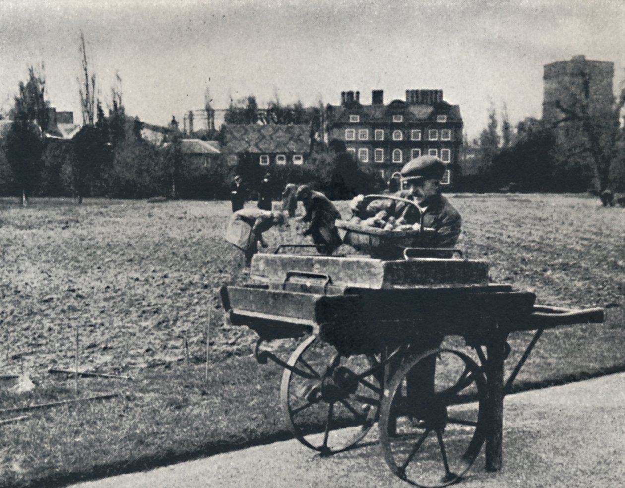 Kartoffeln in den Kew Gardens, 1941 von Cecil Beaton