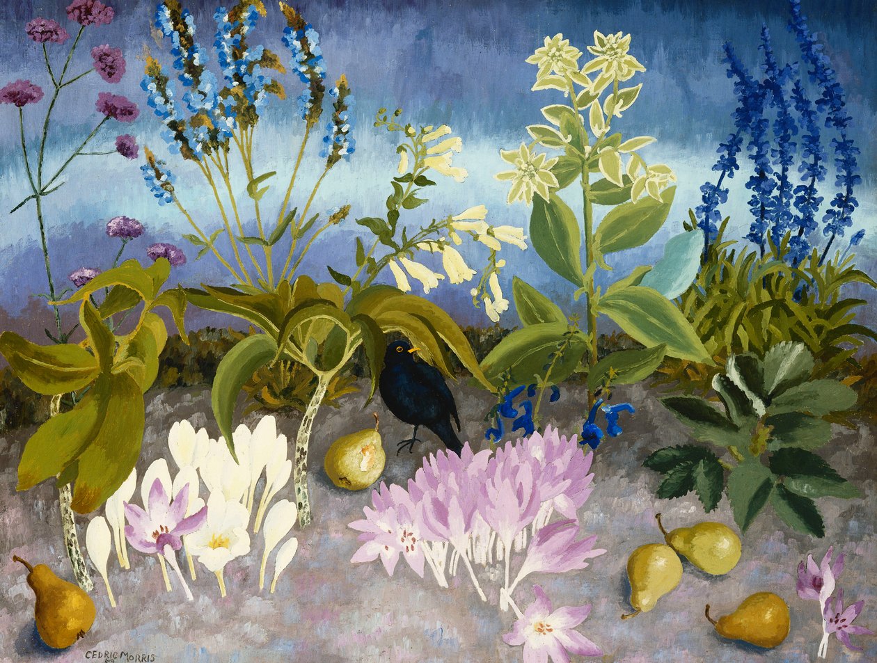 Amsel und Blumen von Cedric Morris