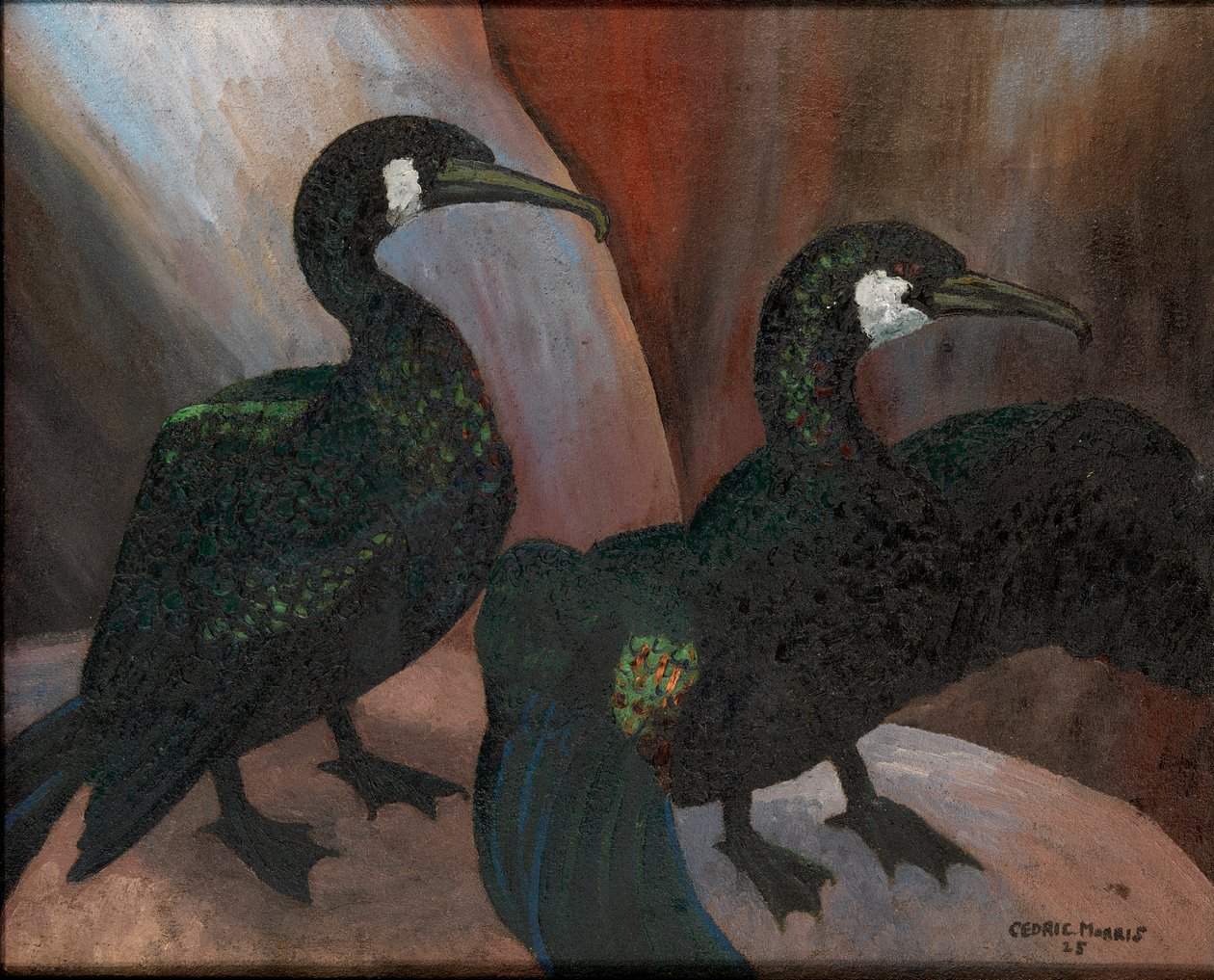 Grüne Kormorane von Cedric Morris