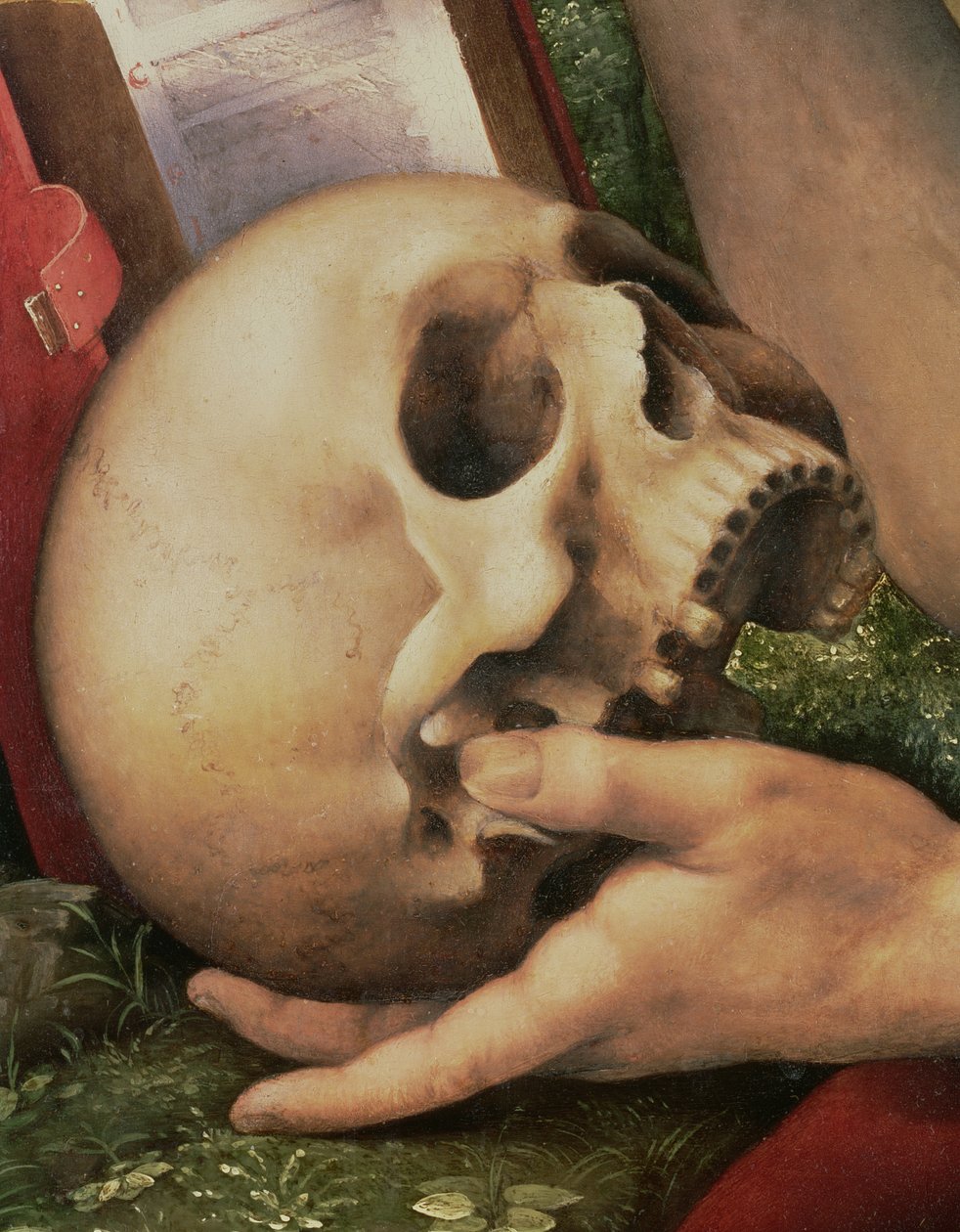 St. Hieronymus (Detail) von Cesare da Sesto