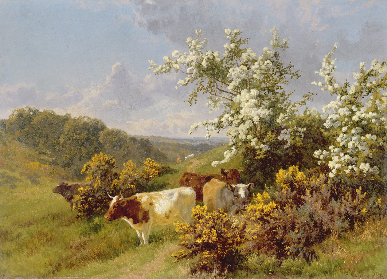 Maiblüte von Charles Collins