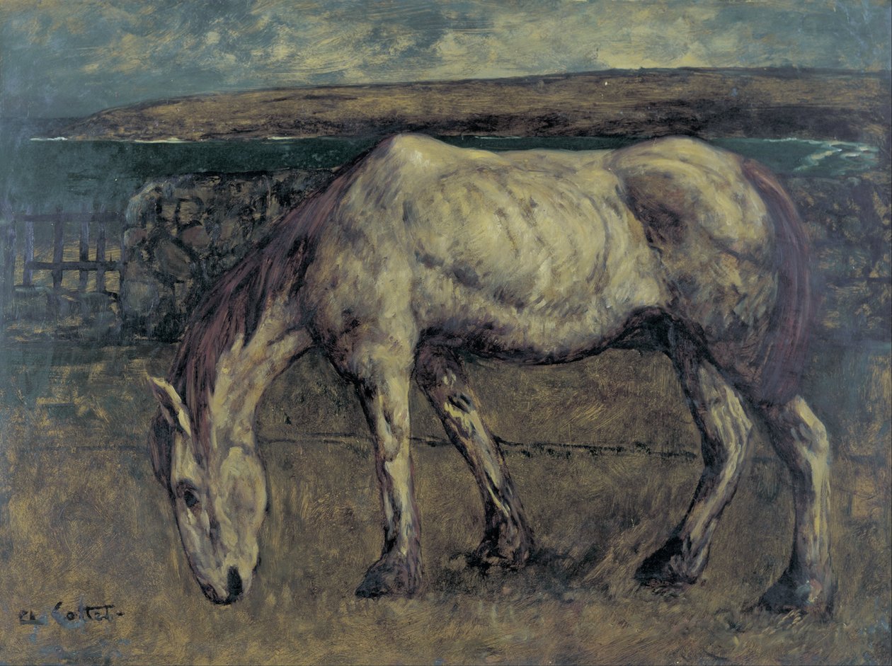 Altes Pferd im Ödland von Charles Cottet