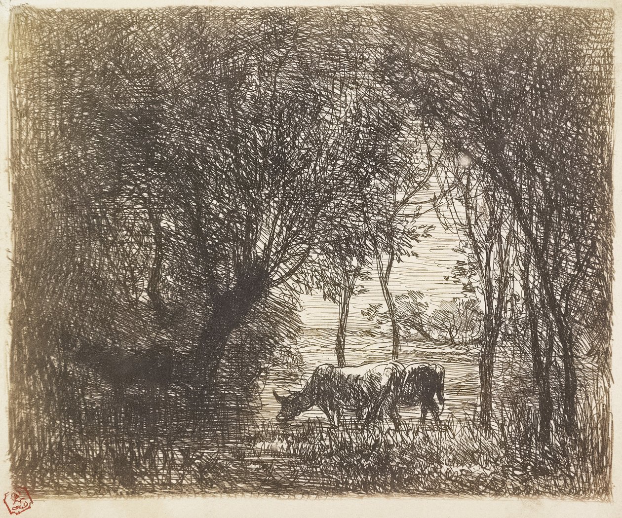 Kühe im Wald, 1862 von Charles Francois Daubigny