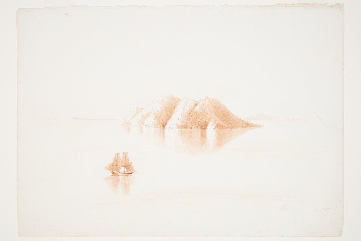 Little Barrier Island von Charles Heaphy