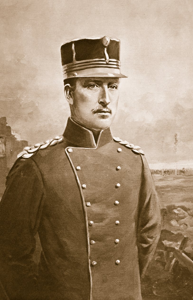Albert I. König der Belgier von Charles Mills Sheldon