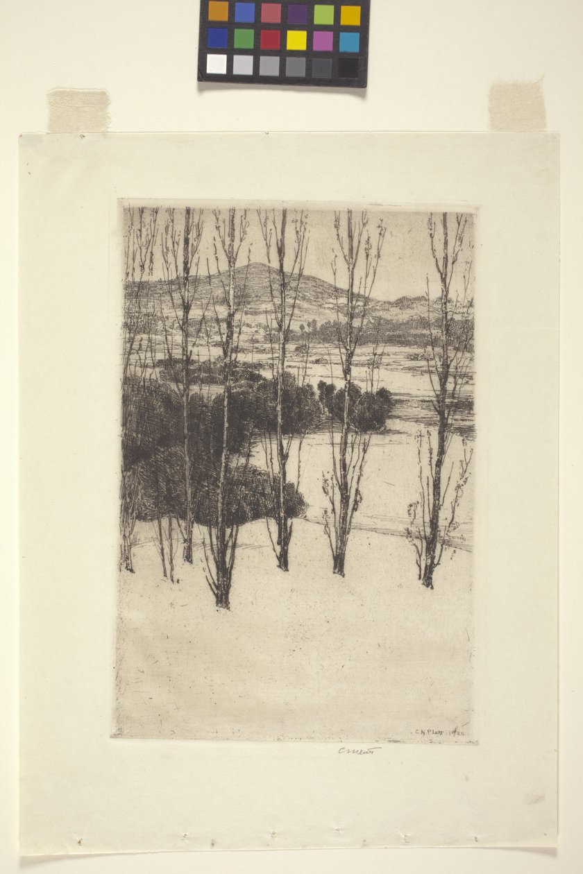 Der Berg von Charles Adams Platt