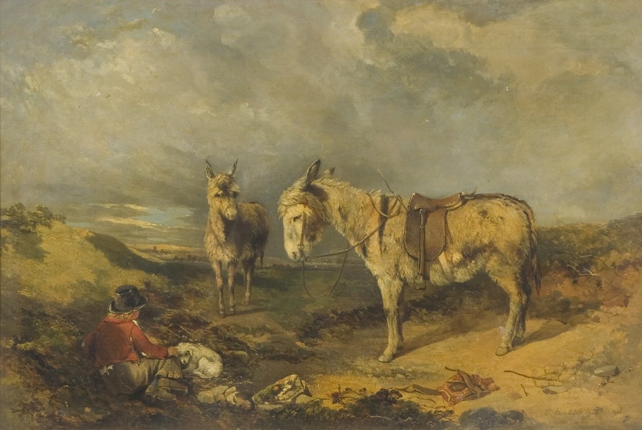 Zwei Esel von Charles Branwhite