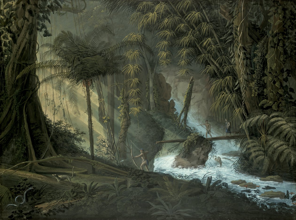 Brasilianischer Wald von Charles Comte de Clarac