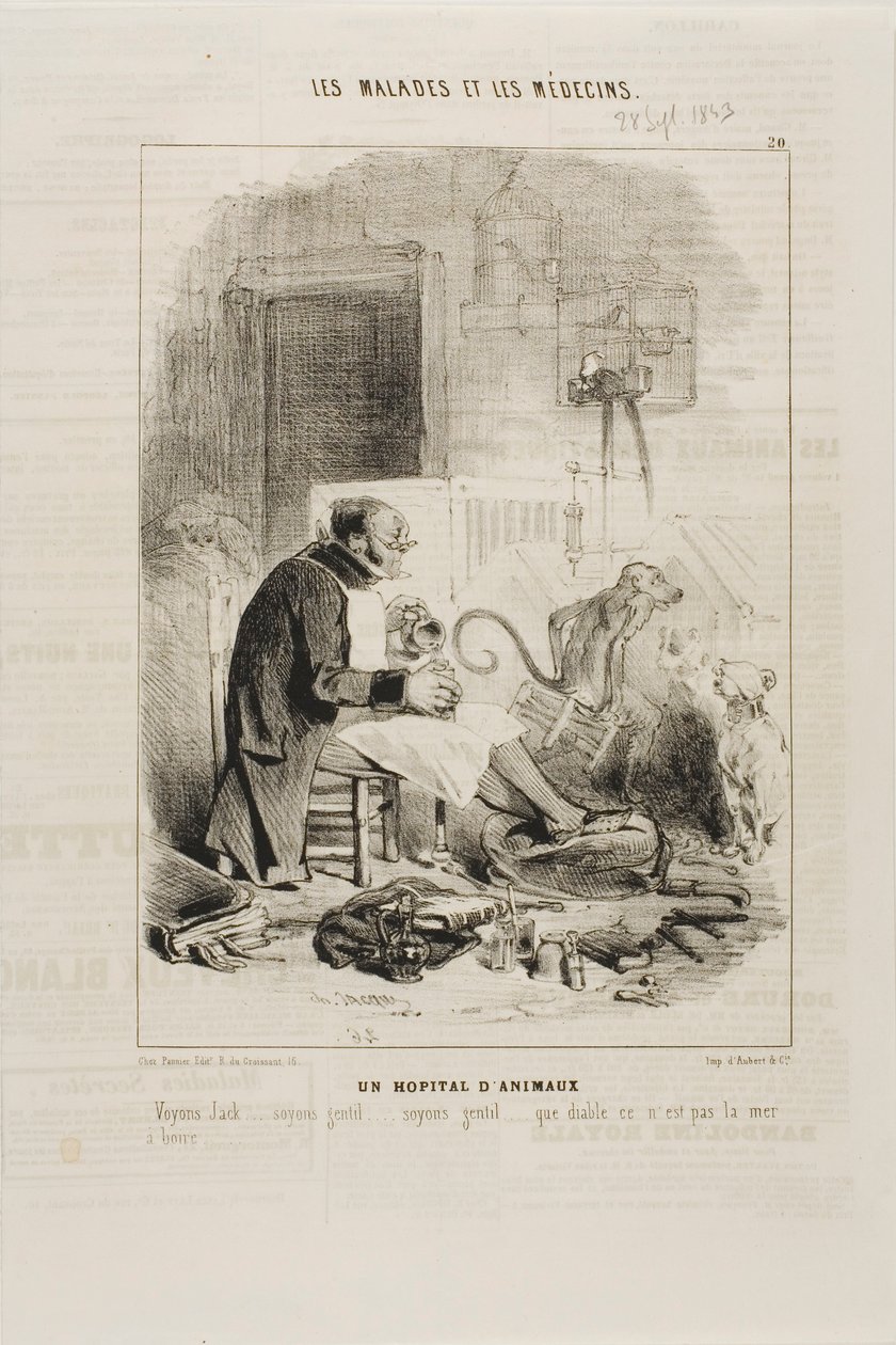 Ein Tierkrankenhaus (Tafel 20) von Charles Emile Jacque