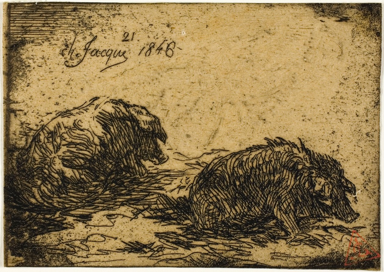 Zwei Schweine liegen von Charles Emile Jacque