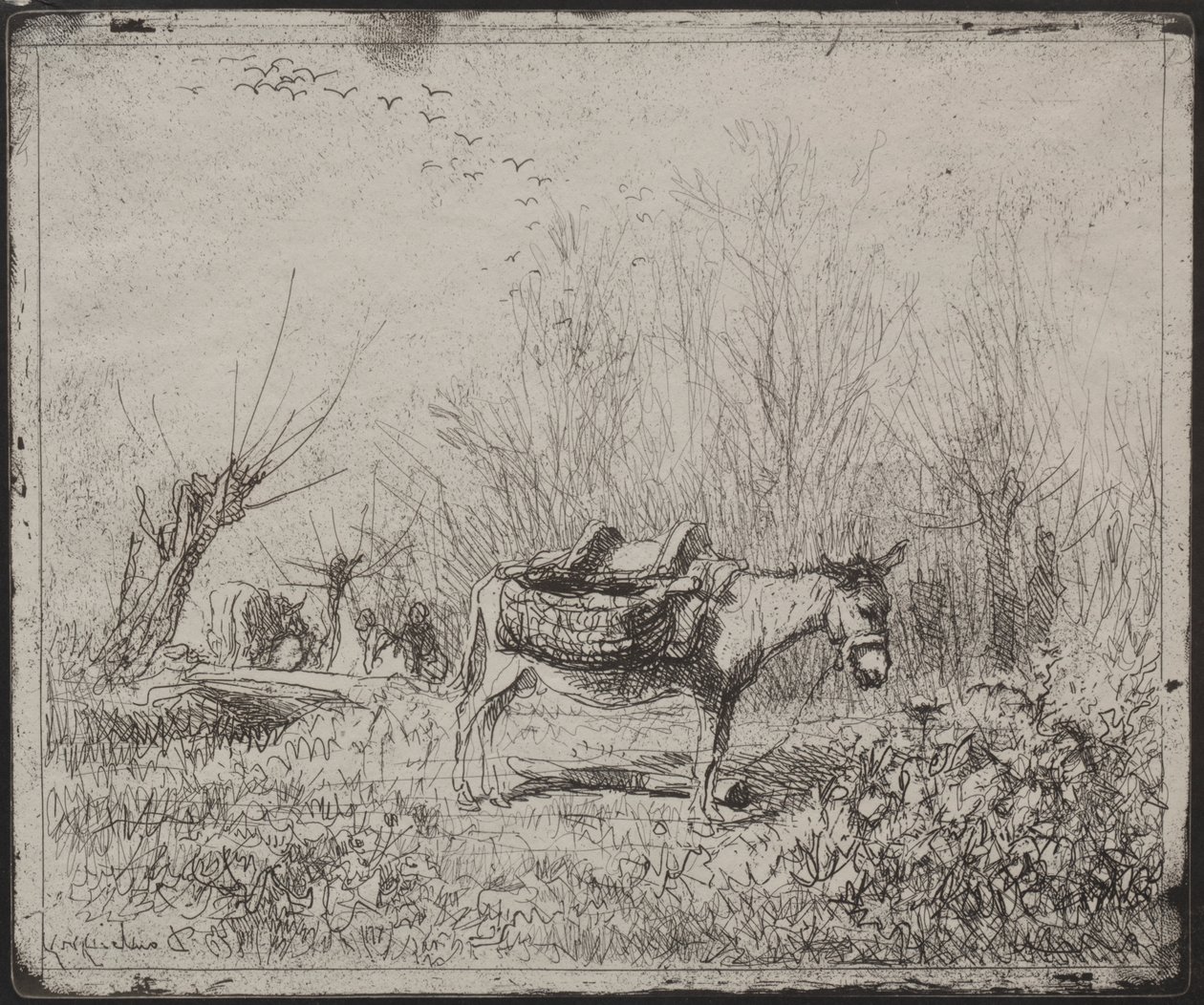 Ein Esel auf dem Feld von Charles Francois Daubigny