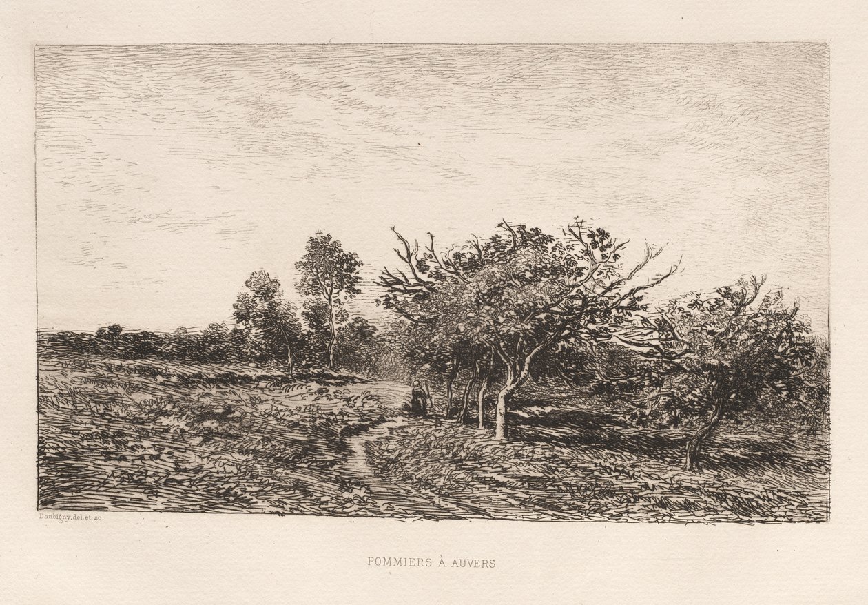 Apfelbäume in Auvers von Charles Francois Daubigny