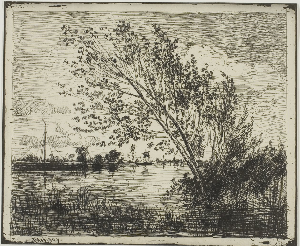 Gruppe von Erlenbäumen von Charles Francois Daubigny