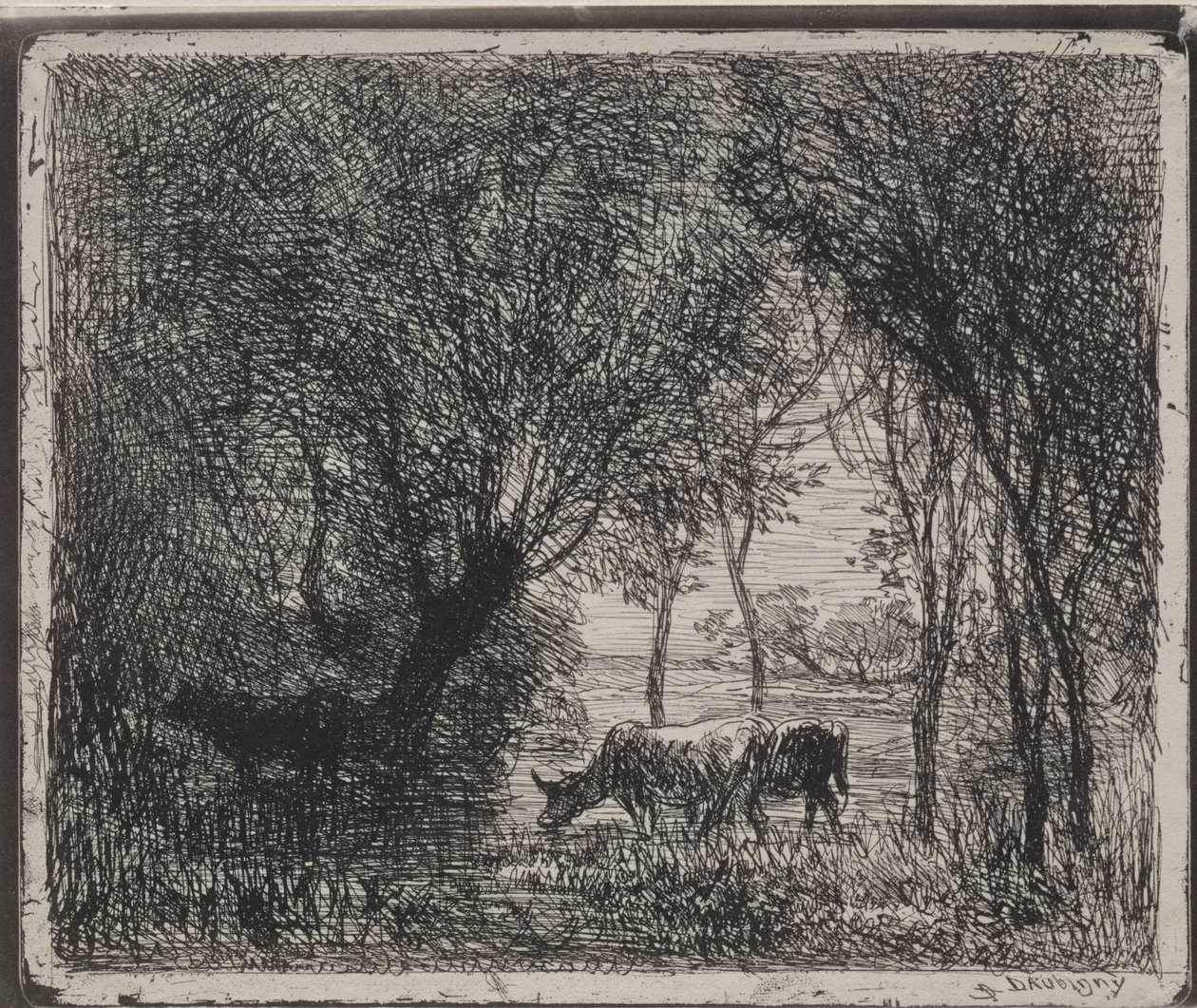 Kühe im Wald von Charles Francois Daubigny