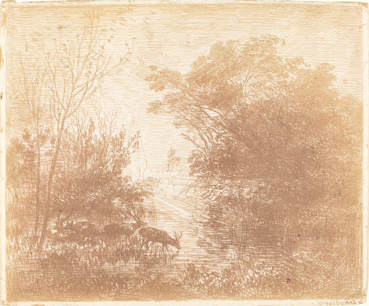 Hirsche (Les Cerfs) von Charles Francois Daubigny