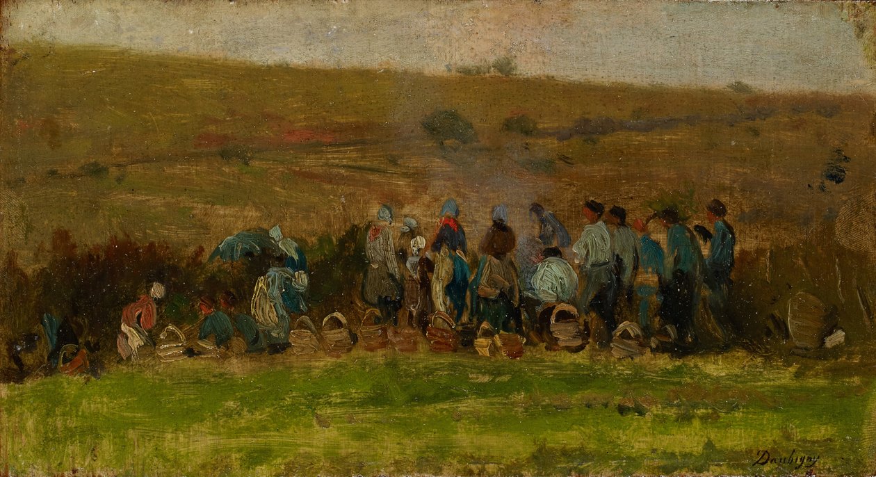 Bauern ernten Kartoffeln von Charles Francois Daubigny