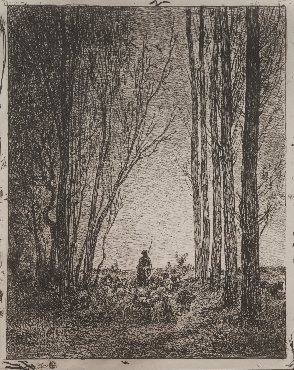Versammlung der Herde von Charles Francois Daubigny