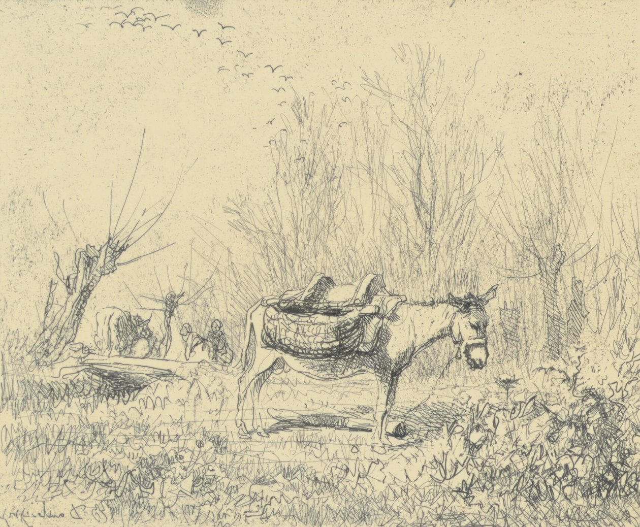 Der Esel auf der Wiese von Charles Francois Daubigny