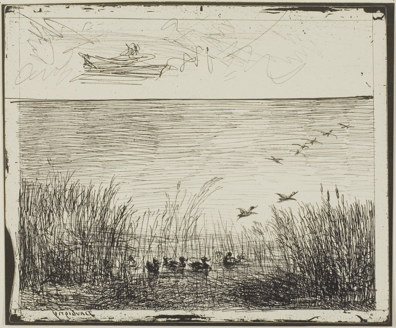 Sumpf mit Enten von Charles Francois Daubigny