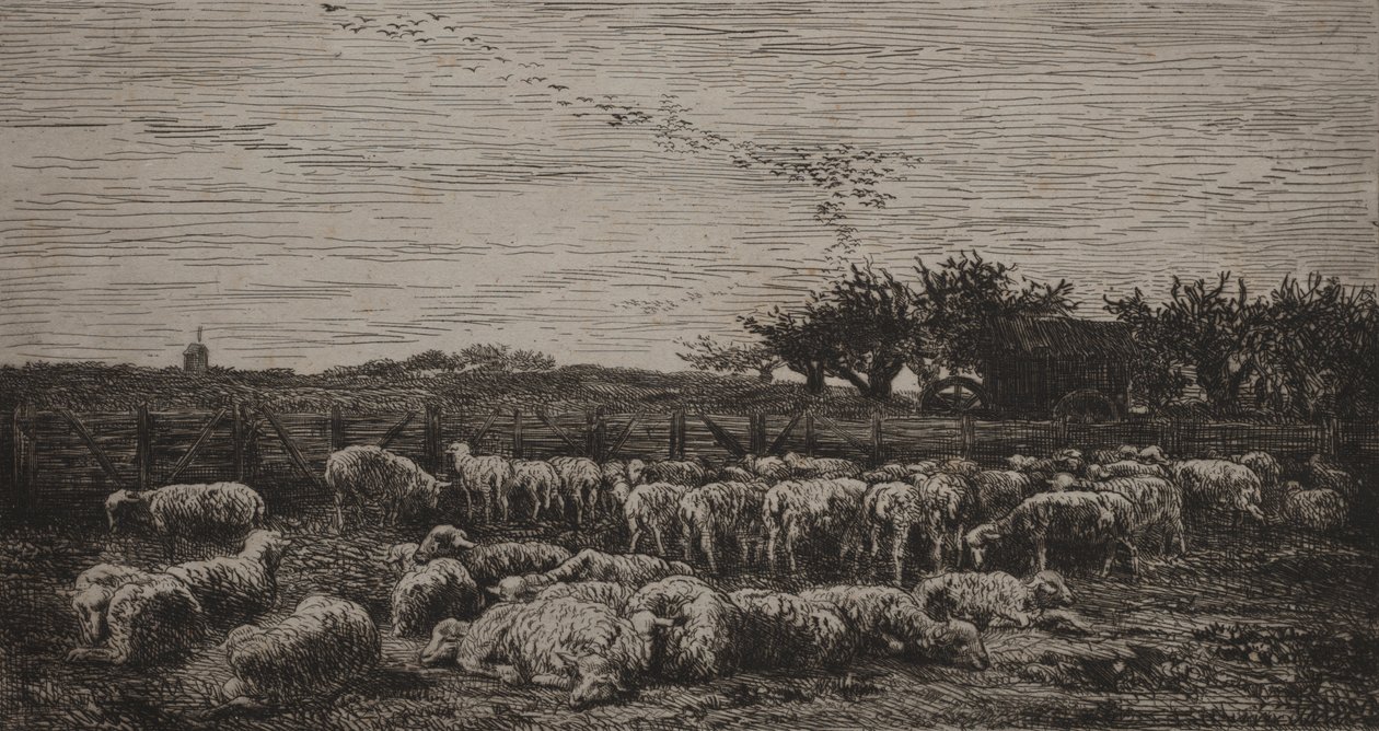 Der große Schafstall von Charles Francois Daubigny