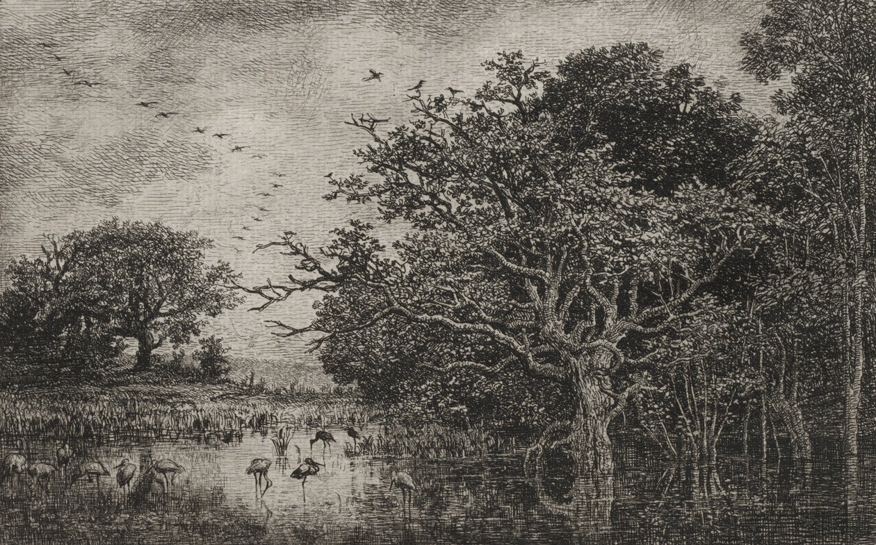 Das Moor mit Störchen von Charles Francois Daubigny