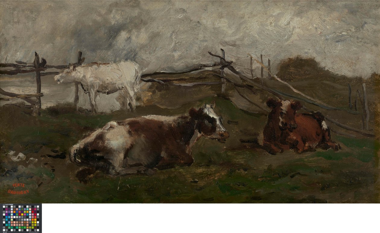 Kühe auf einer Wiese von Charles Francois Daubigny